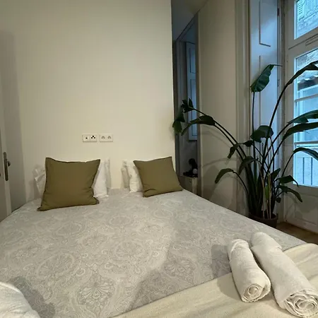 Apartamento No Centro De